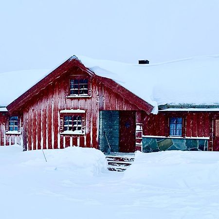 Large Cabin Sjusjoen Best View, Sauna, Ski Inout Zewnętrze zdjęcie